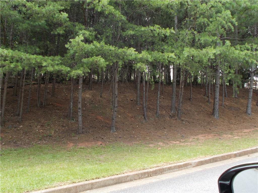 MLS #7356527 image #2