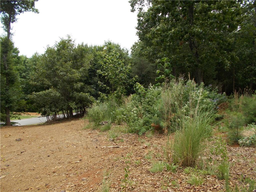 MLS #7356527 image #4