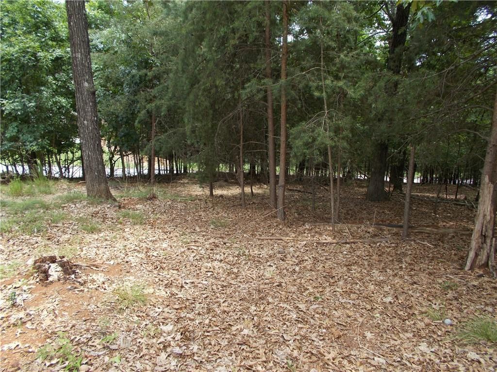 MLS #7356527 image #5