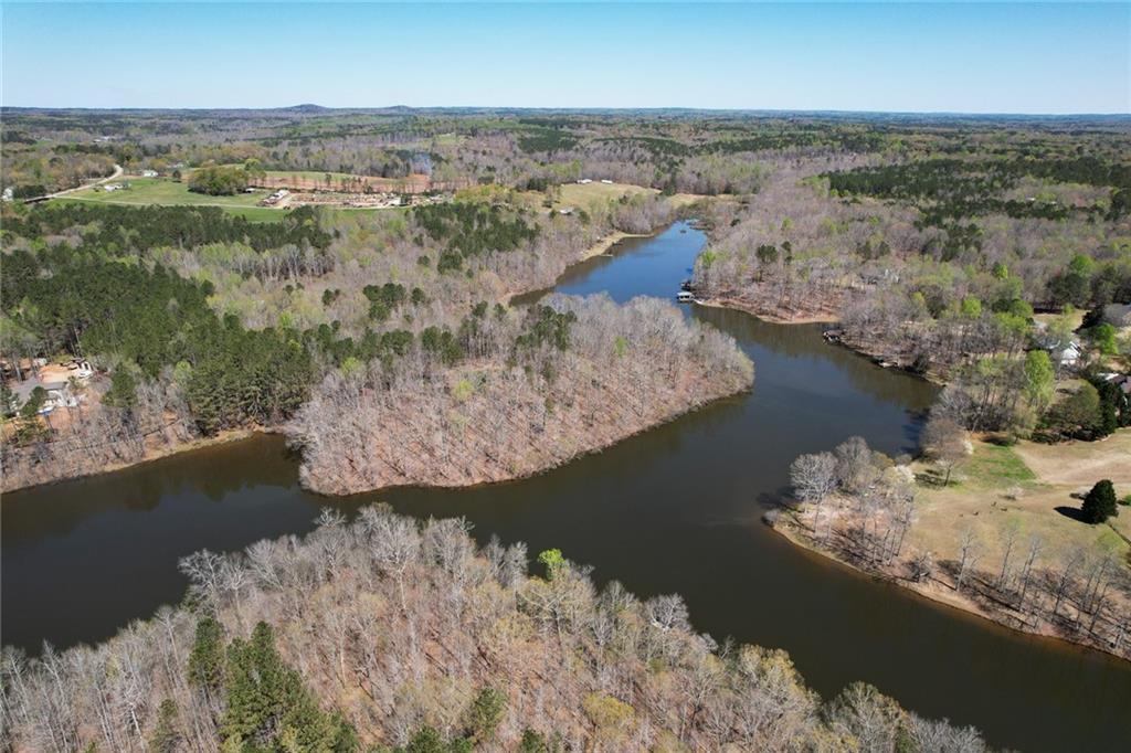 MLS #7361099 image #10