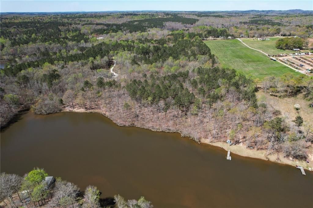 MLS #7361099 image #5