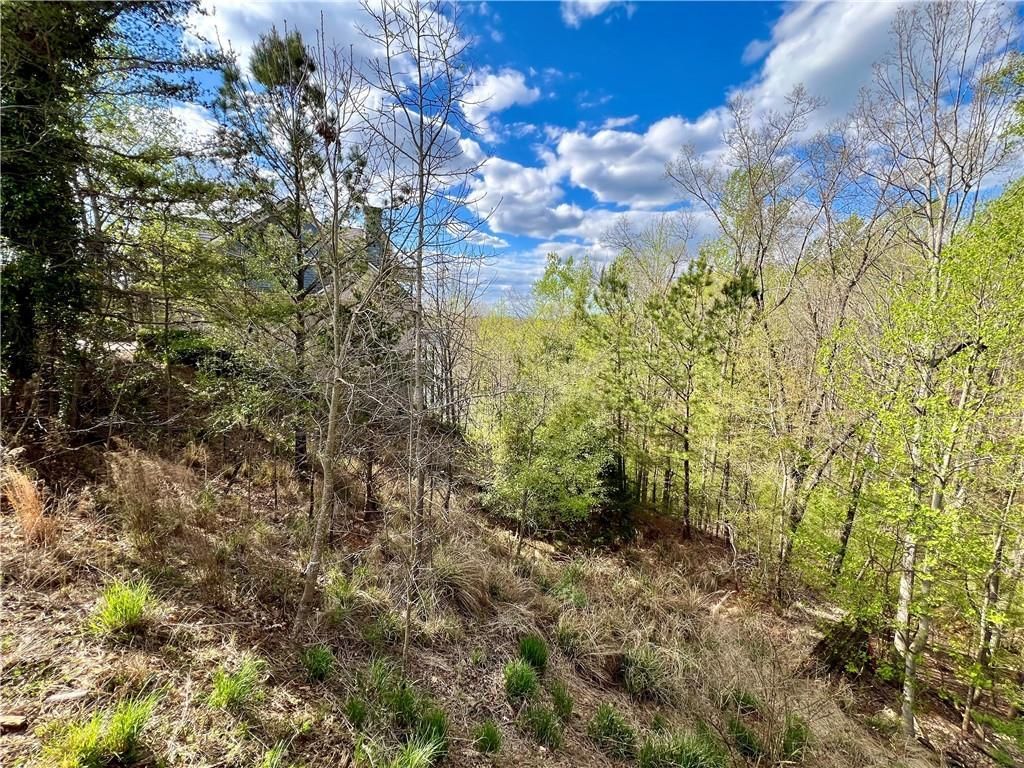 MLS #7363452 image #4