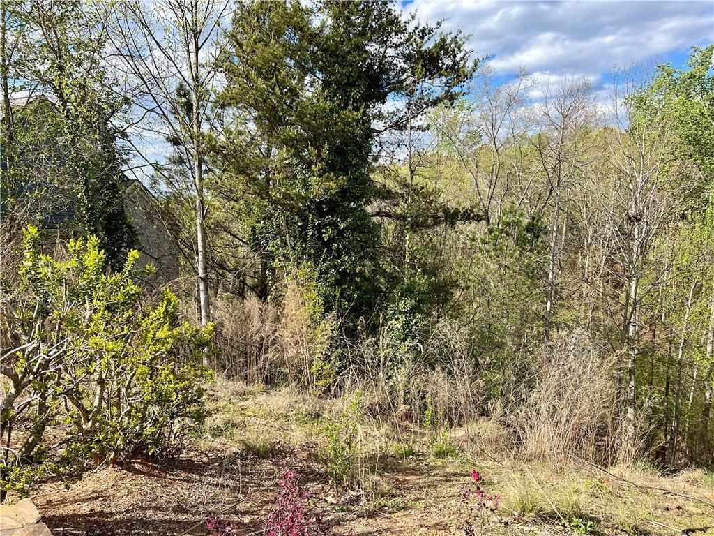 MLS #7363452 image #5