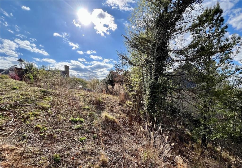 MLS #7363452 image #6