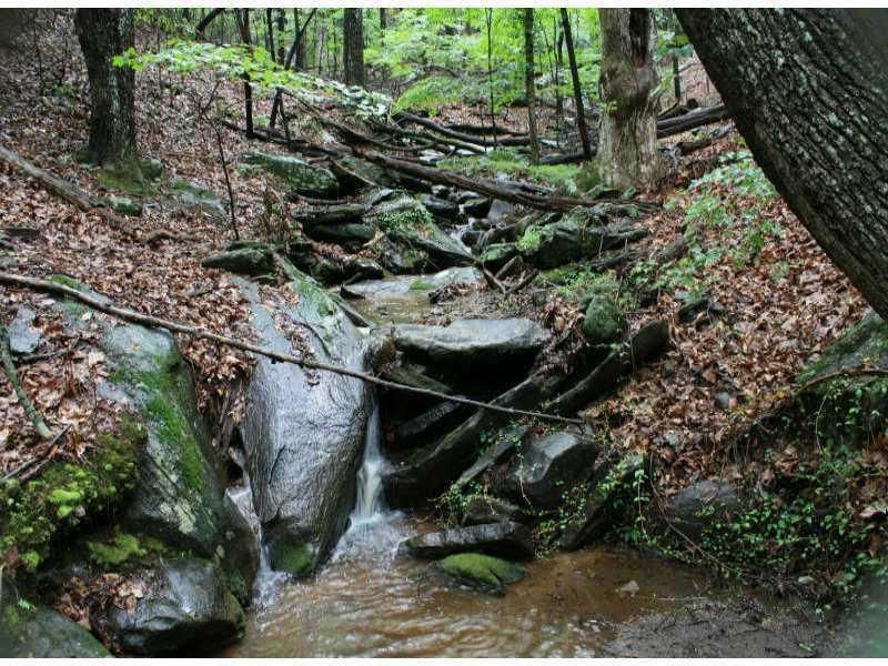 MLS #7368461 image #0