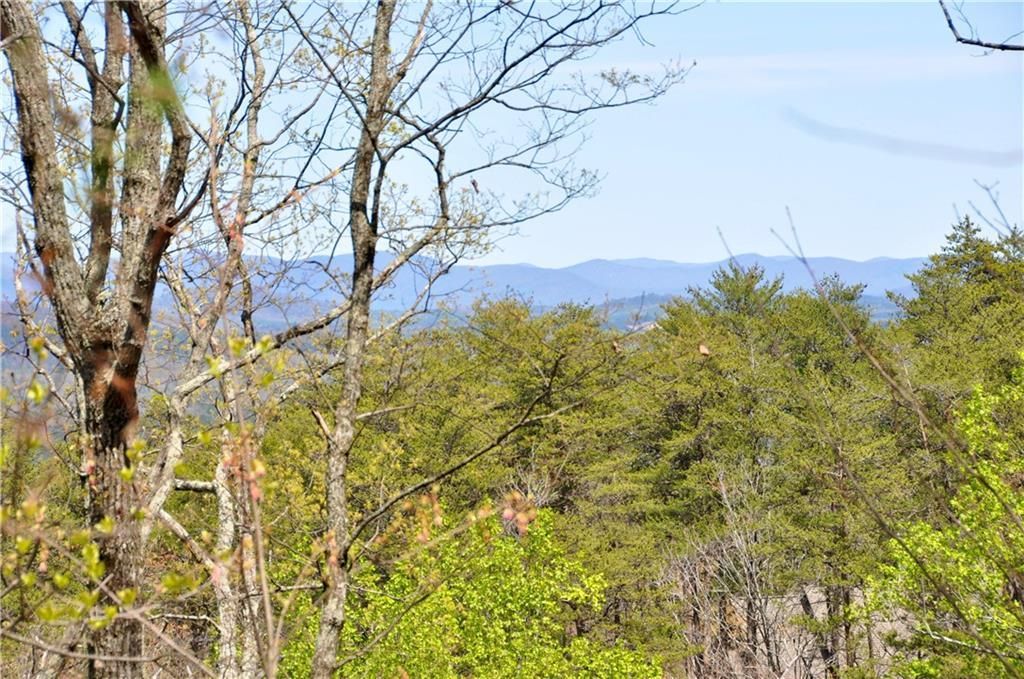 MLS #7369610 image #0