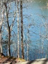 MLS #7407883 image #0