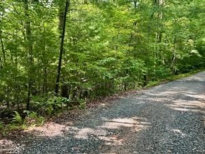 MLS #7429512 image #0