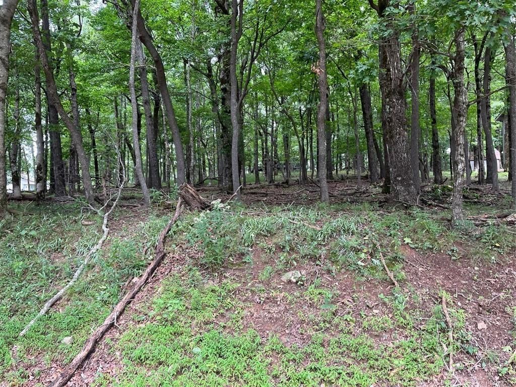 MLS #7431099 image #0