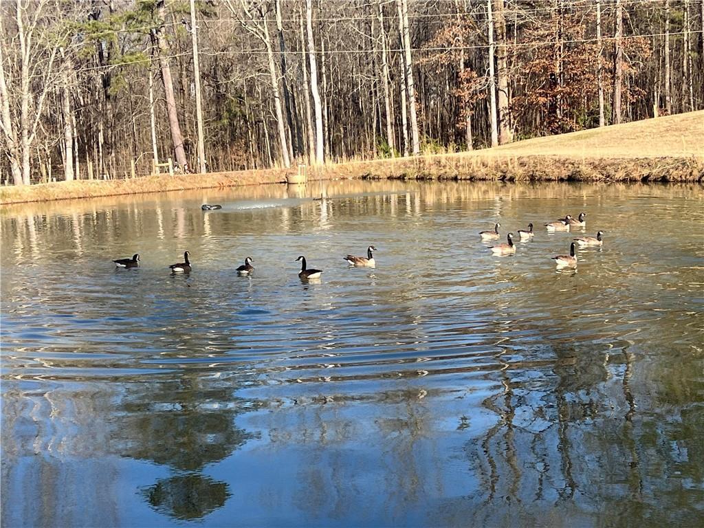 MLS #7327831 image #0