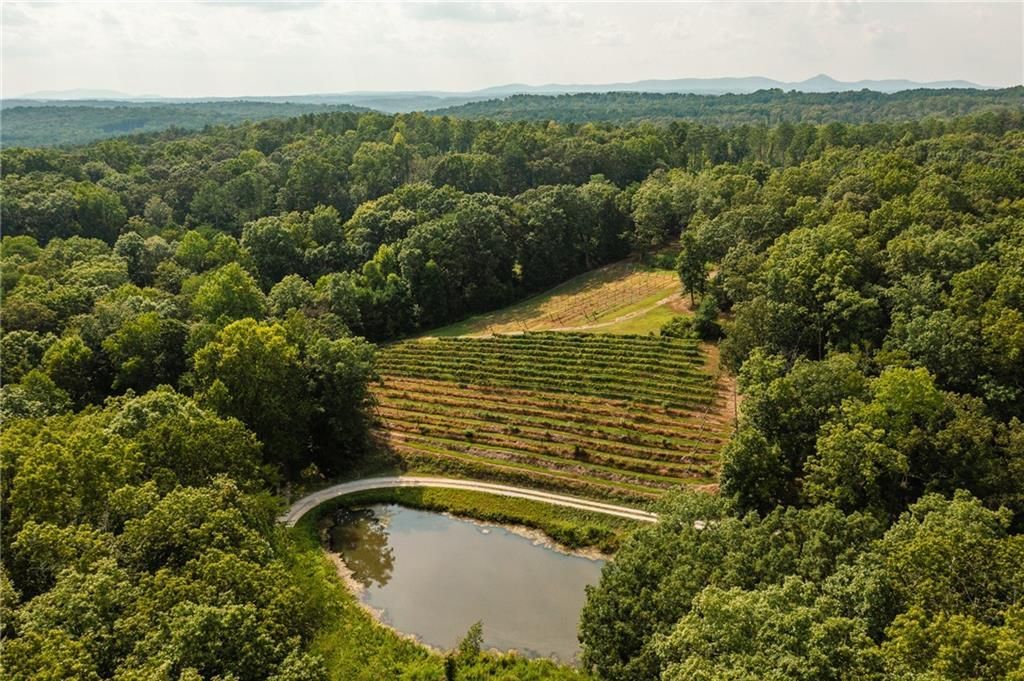 MLS #7445976 image #0