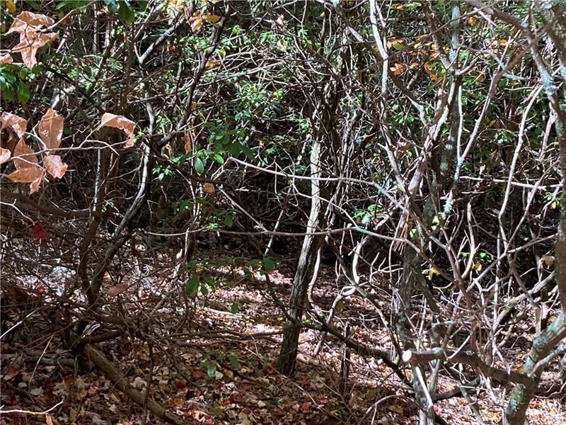 MLS #7452544 image #0