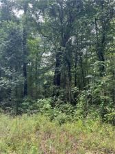 MLS #7466663 image #0