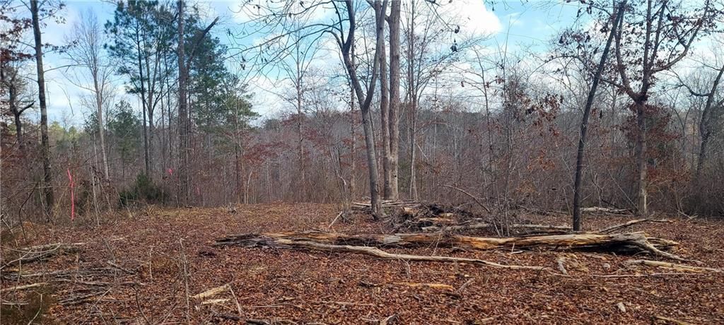 MLS #7466669 image #0