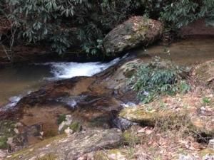 MLS #7468172 image #0