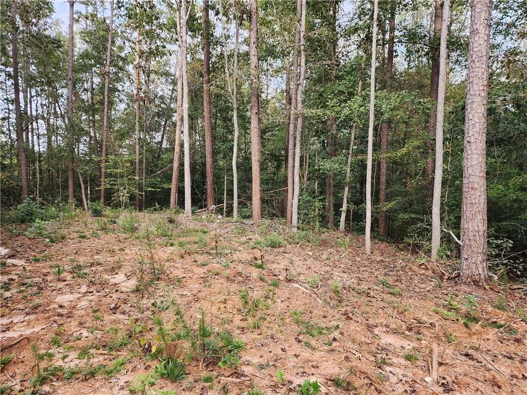 MLS #7470661 image #0