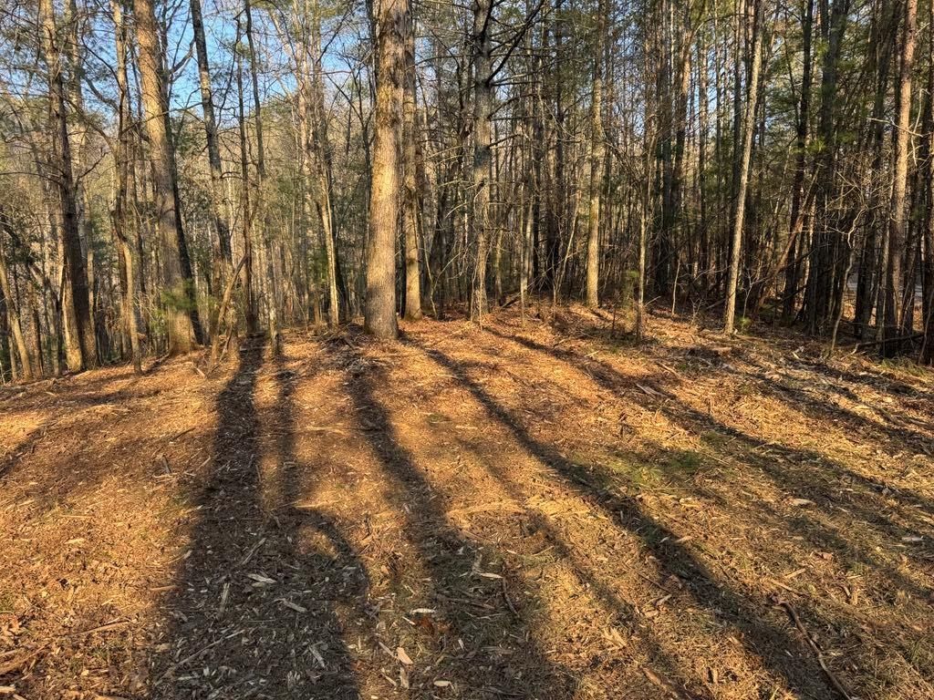 MLS #7477649 image #0