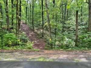 MLS #7479716 image #0