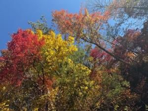 MLS #7487305 image #0