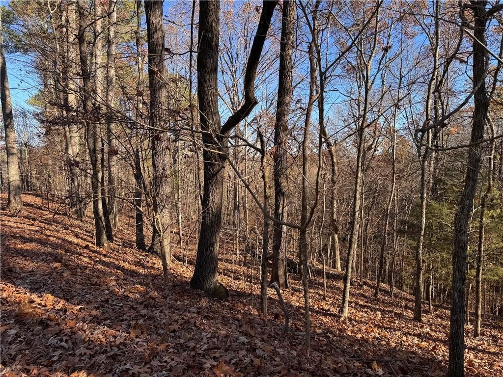 MLS #7488196 image #0