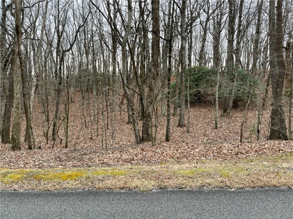 MLS #7498076 image #0