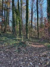 MLS #7498493 image #0