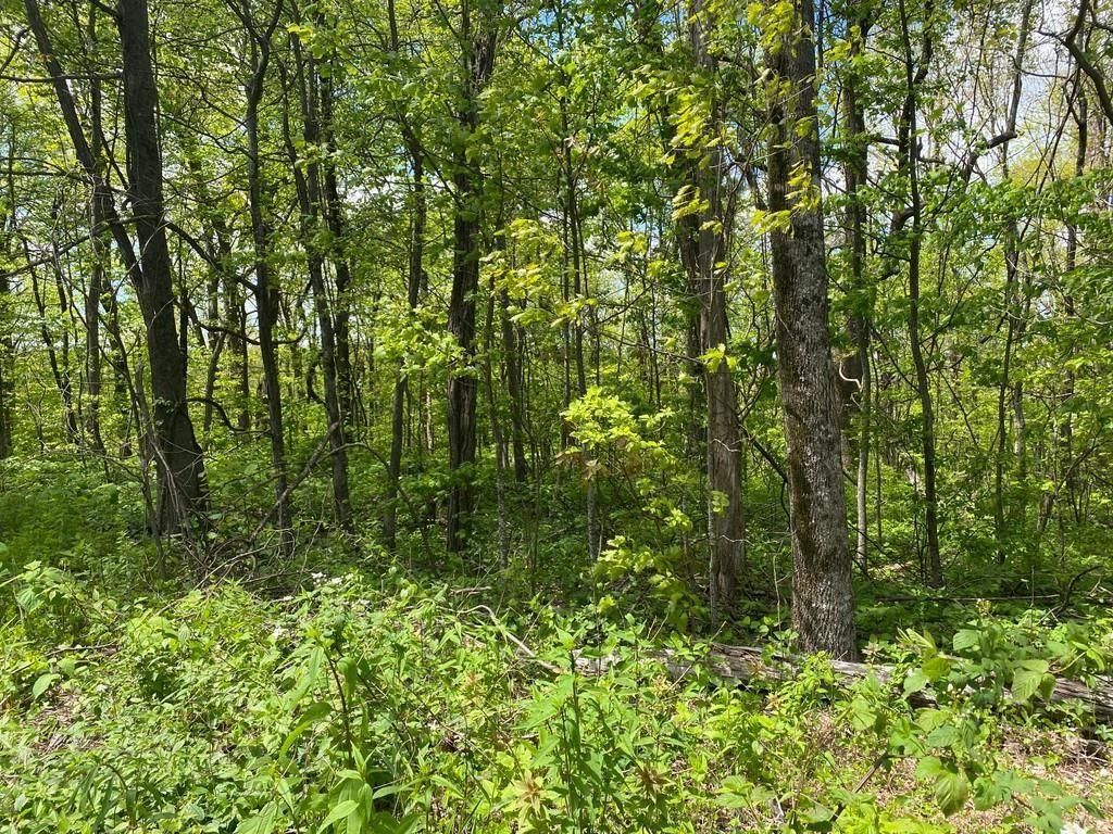 MLS #7504095 image #0