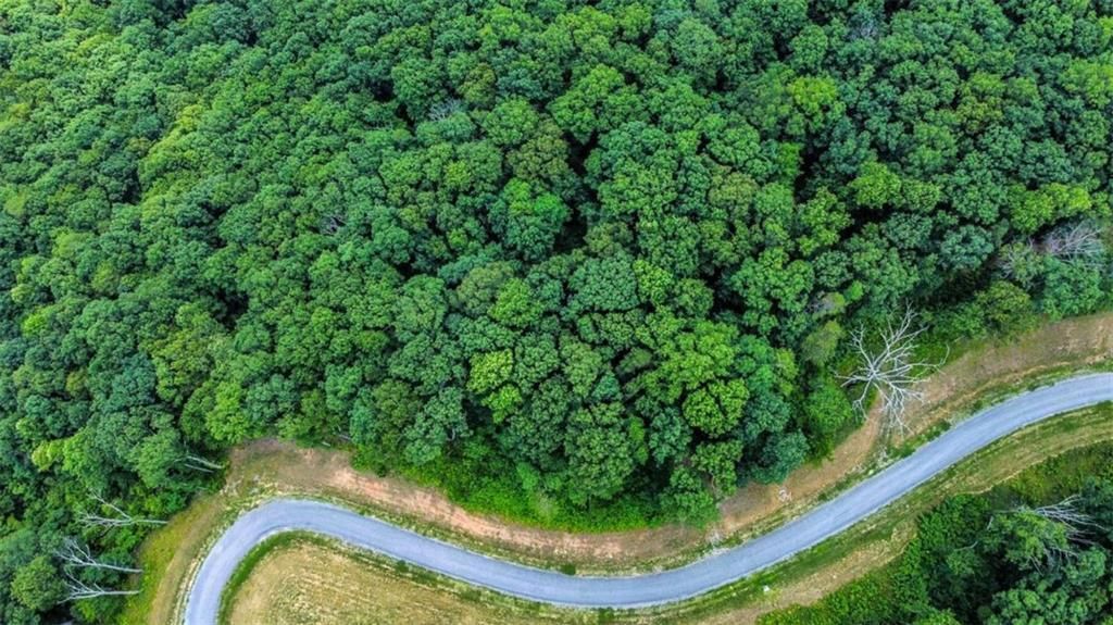 MLS #7504571 image #0