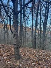 MLS #7505183 image #0