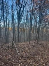 MLS #7505185 image #0