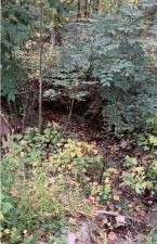 MLS #7505832 image #0