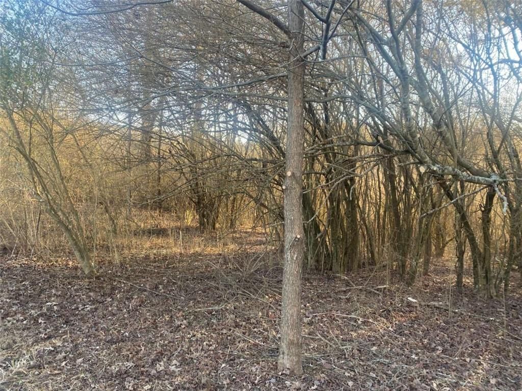 MLS #7511803 image #0