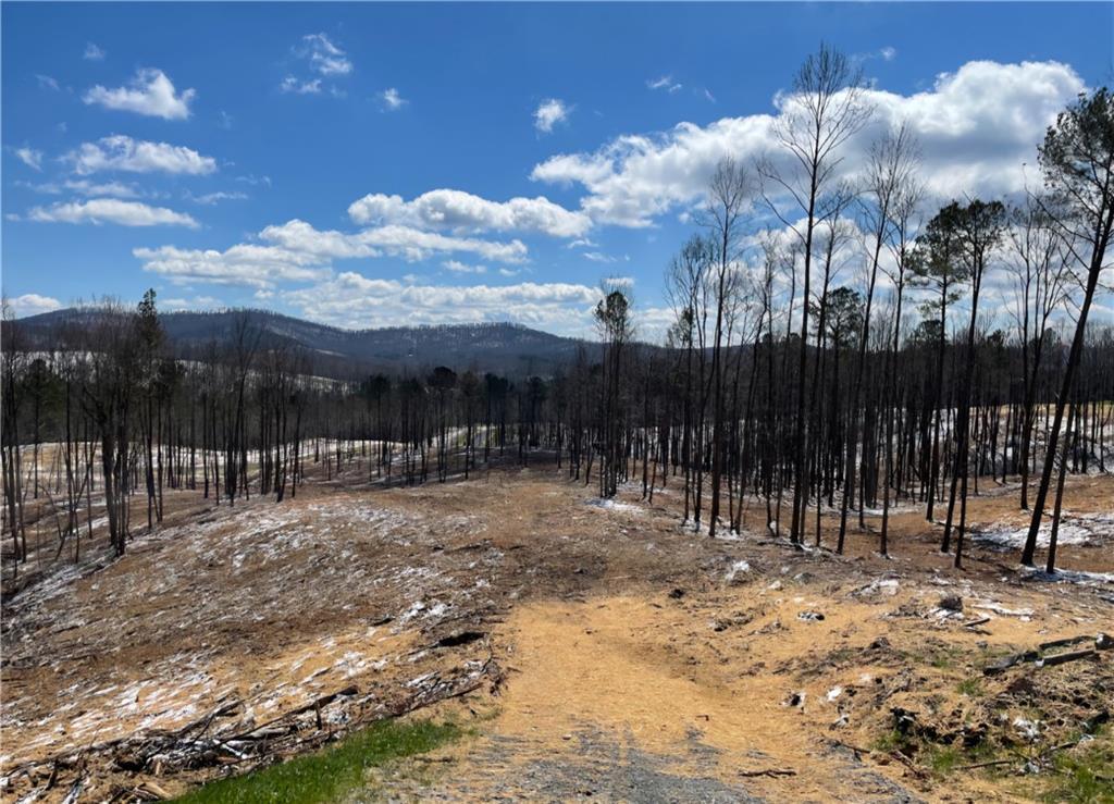 MLS #7515042 image #0