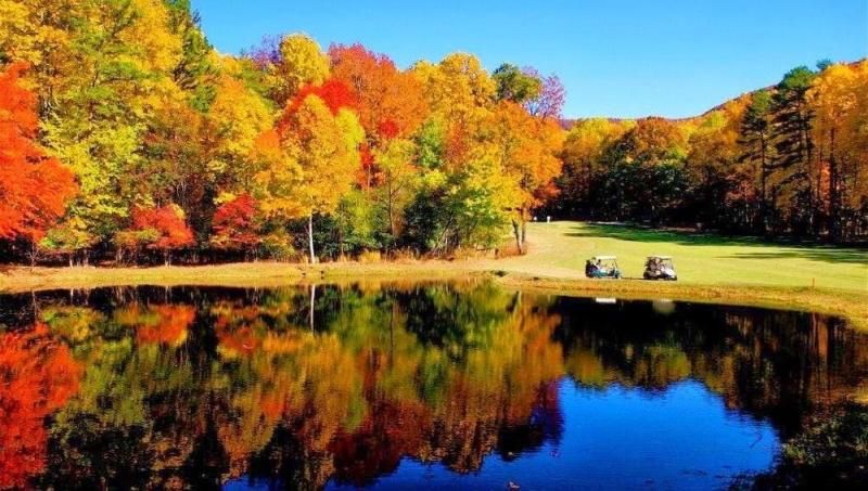 MLS #7517631 image #0