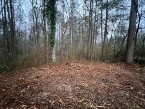 MLS #7526333 image #0