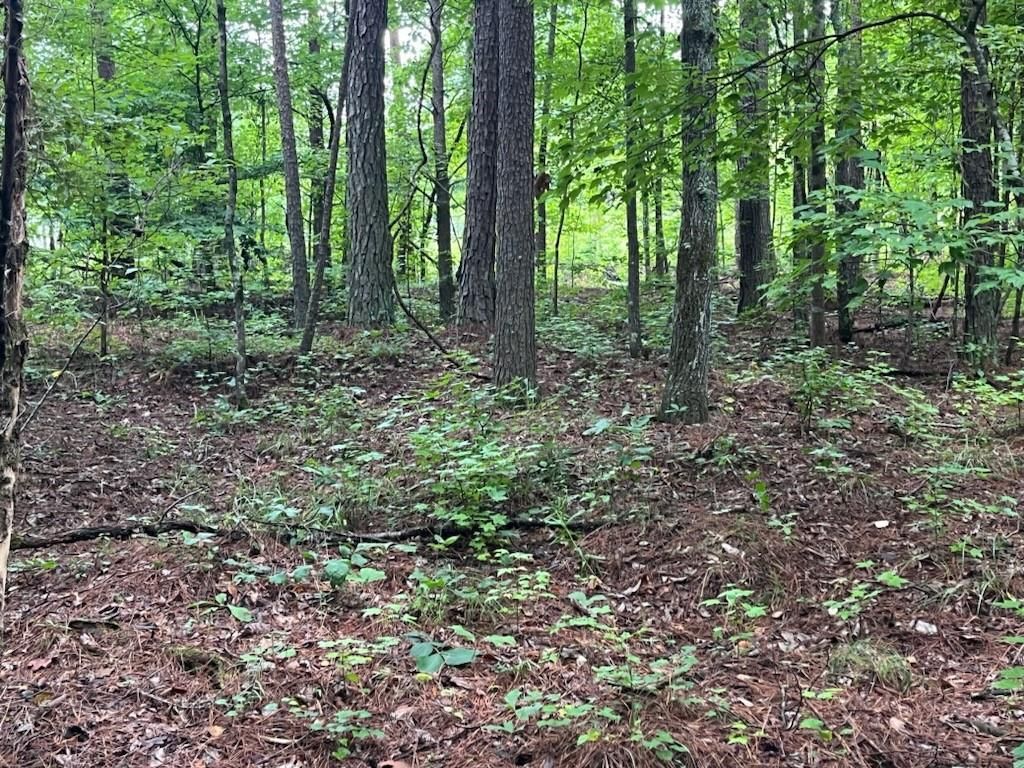 MLS #7527080 image #0