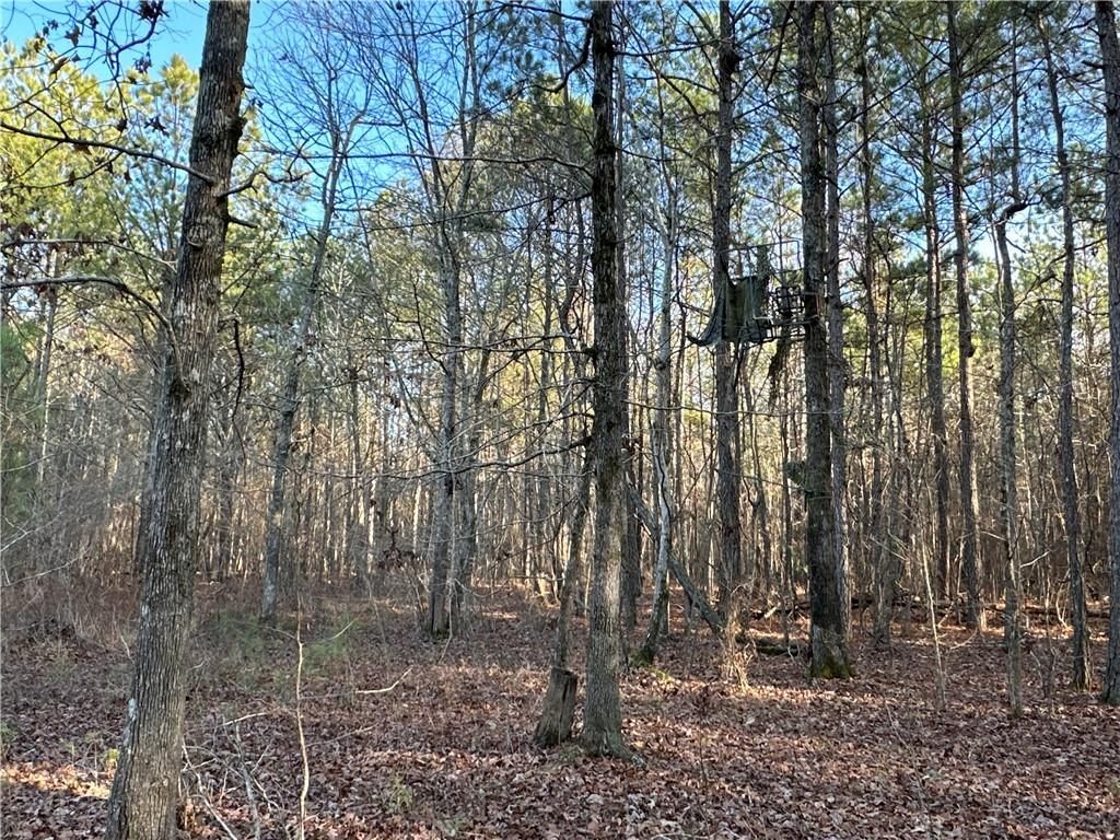 MLS #7527264 image #0