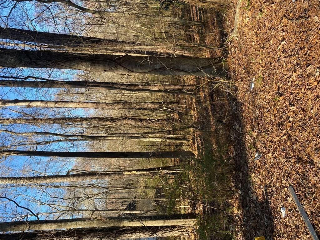 MLS #7528630 image #0