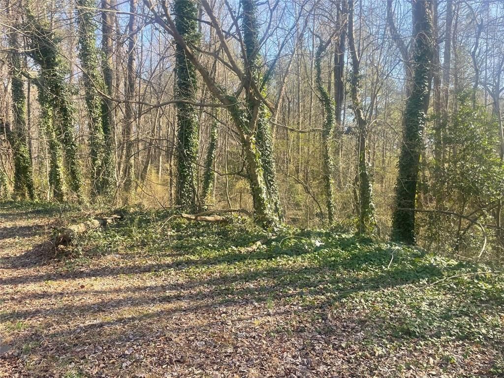 MLS #7531410 image #0