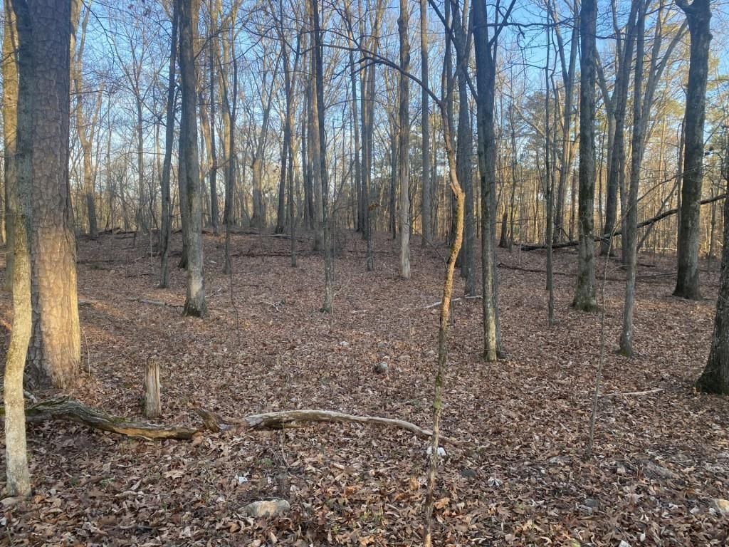 MLS #7534888 image #0