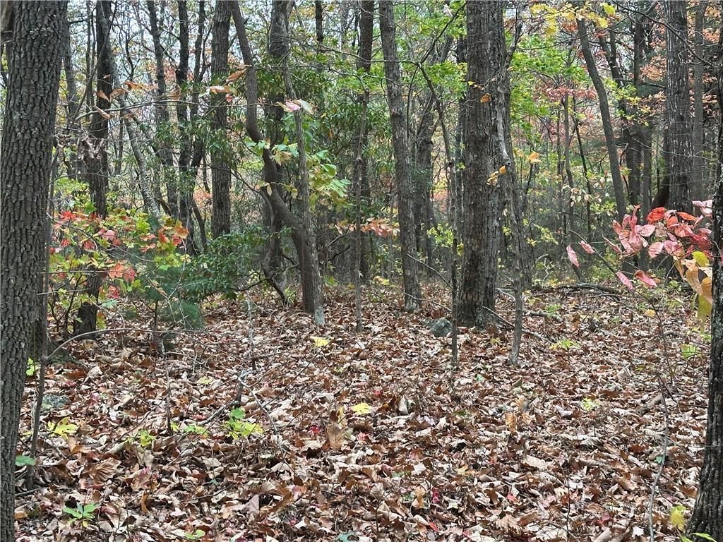 MLS #7535626 image #0