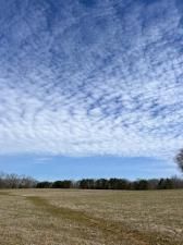 MLS #7538577 image #0