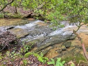 MLS #7538959 image #0