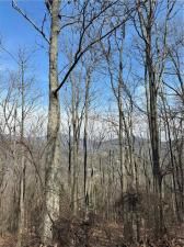 MLS #7540386 image #0