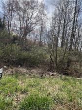 MLS #7542052 image #0