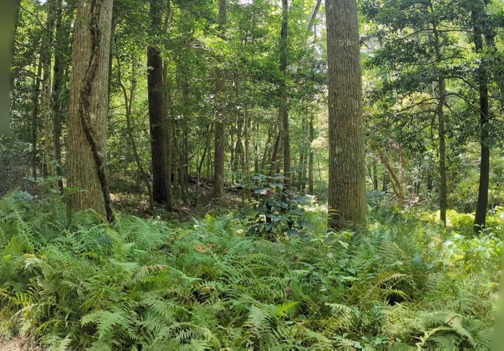 MLS #7542250 image #0