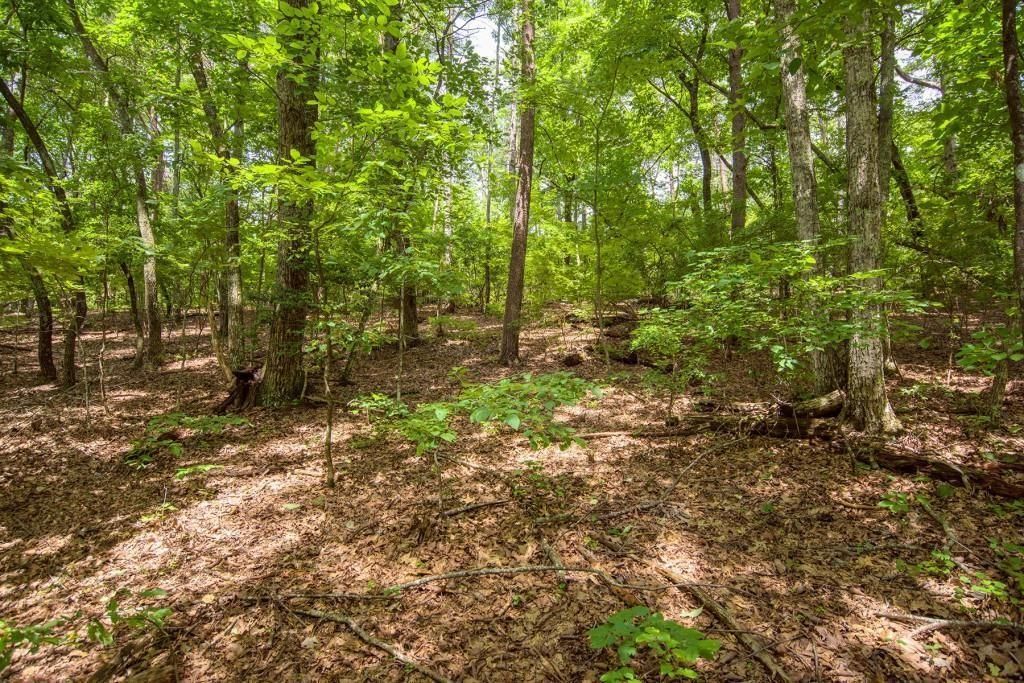 MLS #7542766 image #0