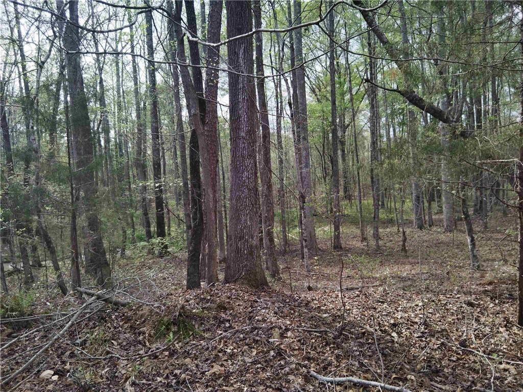 MLS #7553805 image #0