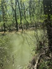 MLS #7557399 image #0