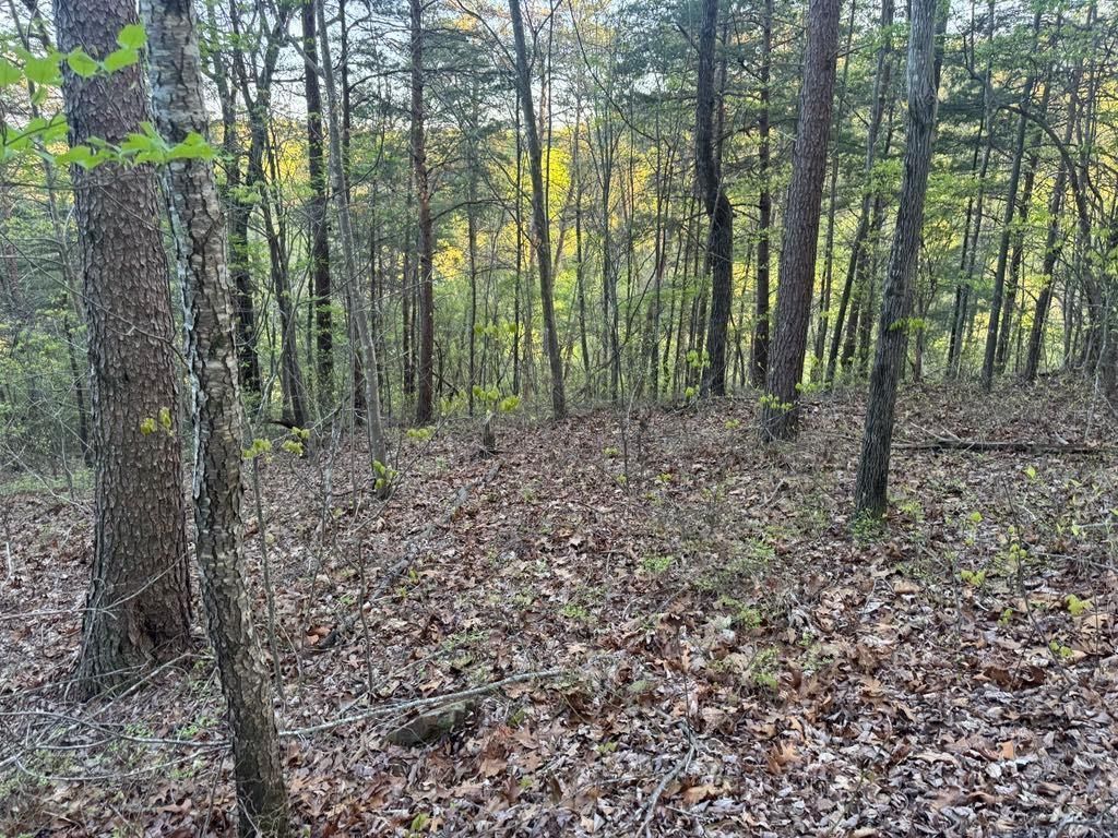 MLS #7559929 image #0